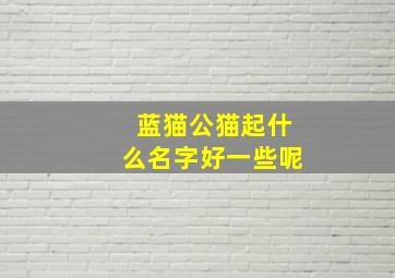 蓝猫公猫起什么名字好一些呢