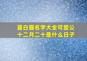 蓝白猫名字大全可爱公十二月二十是什么日子