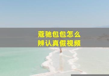 蔻驰包包怎么辨认真假视频