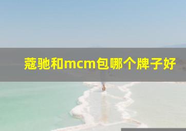 蔻驰和mcm包哪个牌子好