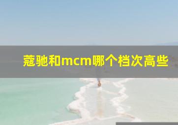 蔻驰和mcm哪个档次高些