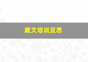 藏文培训反思