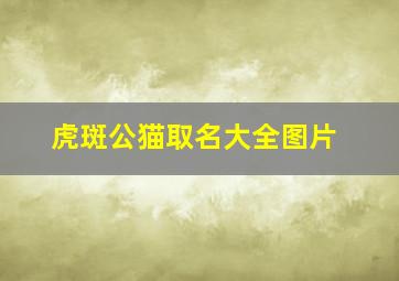 虎斑公猫取名大全图片