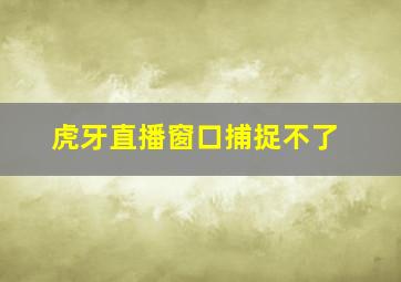 虎牙直播窗口捕捉不了