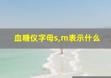 血糖仪字母s,m表示什么