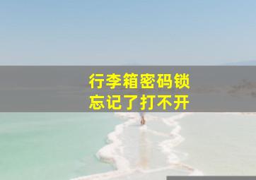 行李箱密码锁忘记了打不开