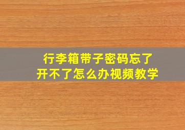 行李箱带子密码忘了开不了怎么办视频教学