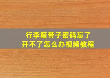 行李箱带子密码忘了开不了怎么办视频教程