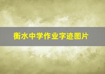 衡水中学作业字迹图片