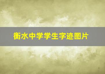 衡水中学学生字迹图片