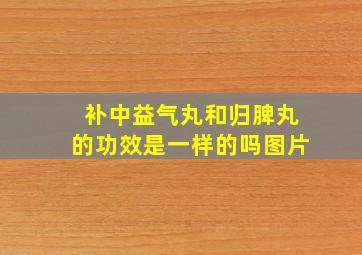 补中益气丸和归脾丸的功效是一样的吗图片