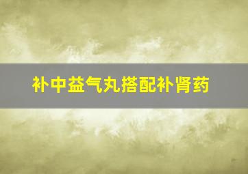 补中益气丸搭配补肾药