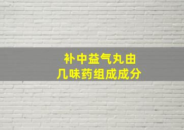 补中益气丸由几味药组成成分