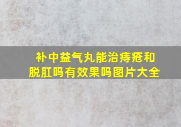 补中益气丸能治痔疮和脱肛吗有效果吗图片大全