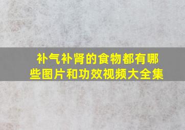 补气补肾的食物都有哪些图片和功效视频大全集