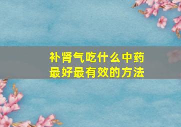 补肾气吃什么中药最好最有效的方法