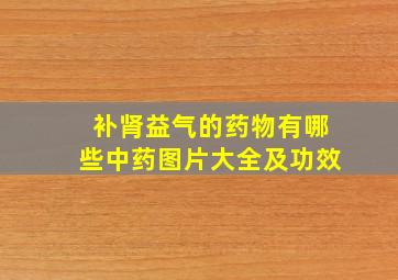 补肾益气的药物有哪些中药图片大全及功效