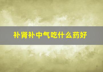 补肾补中气吃什么药好