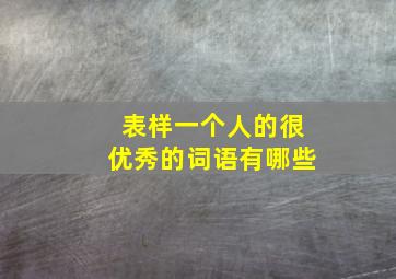 表样一个人的很优秀的词语有哪些