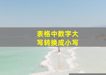 表格中数字大写转换成小写