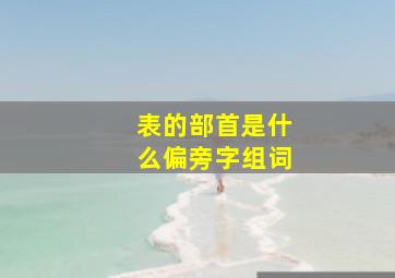 表的部首是什么偏旁字组词