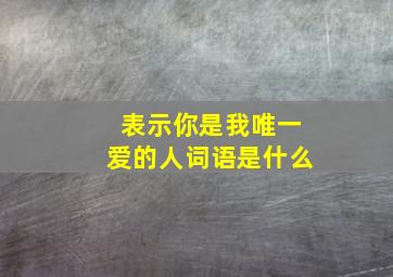 表示你是我唯一爱的人词语是什么