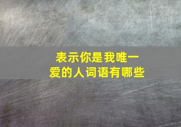 表示你是我唯一爱的人词语有哪些