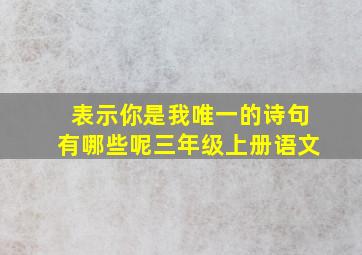 表示你是我唯一的诗句有哪些呢三年级上册语文