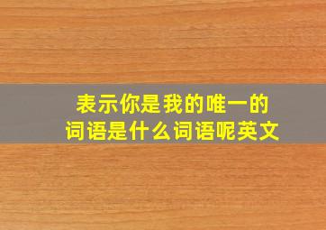 表示你是我的唯一的词语是什么词语呢英文