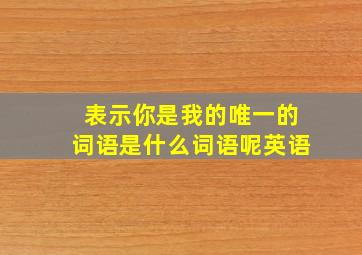 表示你是我的唯一的词语是什么词语呢英语