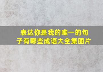 表达你是我的唯一的句子有哪些成语大全集图片