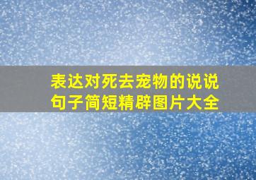 表达对死去宠物的说说句子简短精辟图片大全