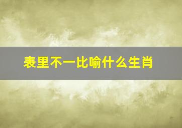 表里不一比喻什么生肖