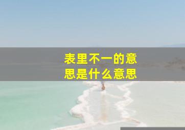 表里不一的意思是什么意思