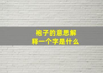 袍子的意思解释一个字是什么