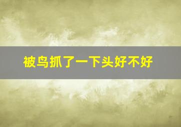 被鸟抓了一下头好不好