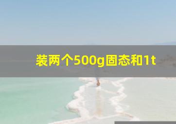 装两个500g固态和1t