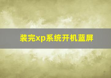 装完xp系统开机蓝屏