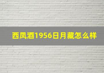 西凤酒1956日月藏怎么样