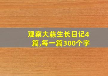 观察大蒜生长日记4篇,每一篇300个字