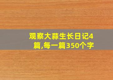 观察大蒜生长日记4篇,每一篇350个字