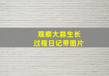 观察大蒜生长过程日记带图片