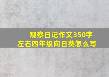 观察日记作文350字左右四年级向日葵怎么写