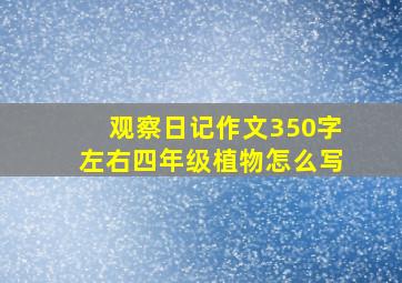 观察日记作文350字左右四年级植物怎么写