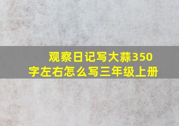 观察日记写大蒜350字左右怎么写三年级上册