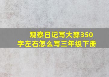 观察日记写大蒜350字左右怎么写三年级下册