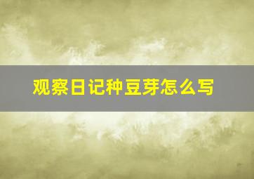 观察日记种豆芽怎么写