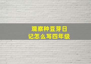 观察种豆芽日记怎么写四年级