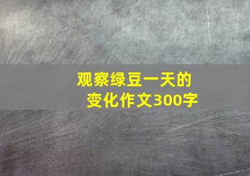 观察绿豆一天的变化作文300字