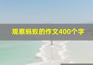 观察蚂蚁的作文400个字